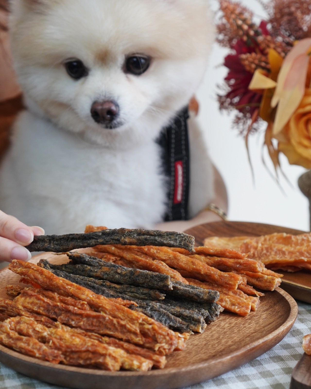 【宅配美食】人食等級連人都能吃的寵物零食《毛飽寵物零食》嚴選使用氣冷雞製作而成，堅持純天然、無人工添加物，讓毛小孩可以吃得安心又健康｜寵物零食推薦