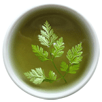 buy Japanese Artemisia mugwort wormwood yomogi tea premium uji Matcha green tea powder aojiru young barley leaves green grass powder japan benefits wheatgrass yomogi mugwort herb