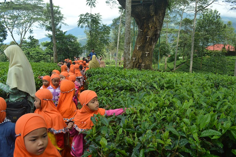 Selamat Datang