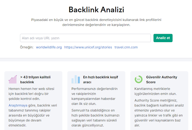 Backlink Analizi