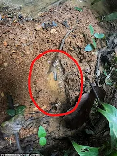 أضهرت صورة نشرها الجيش الكولومبي آثار أقدام عثر عليها في الغابة في منطقة ريفية تابعة لبلدية سولانو ، كاكويتا ، في جنوب شرق كولومبيا