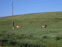 tour mongolia centrale