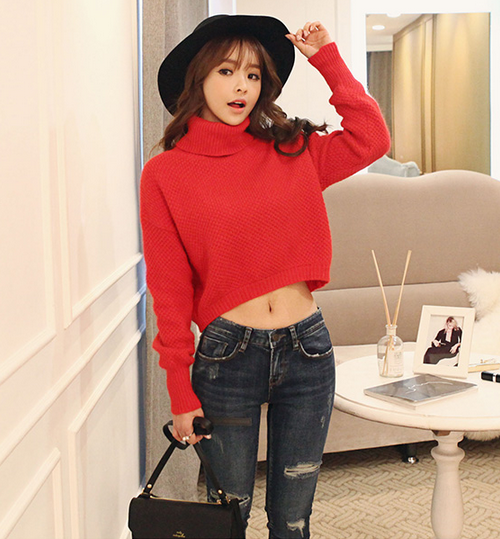 Roll Neck Cropped Sweater