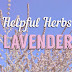 Helpful Herbs: Lavender