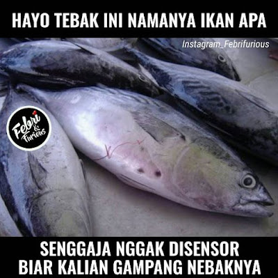 10 Meme 'Jenis Ikan' Ini Kocak Banget, Hati-hati Salah Nyebut!