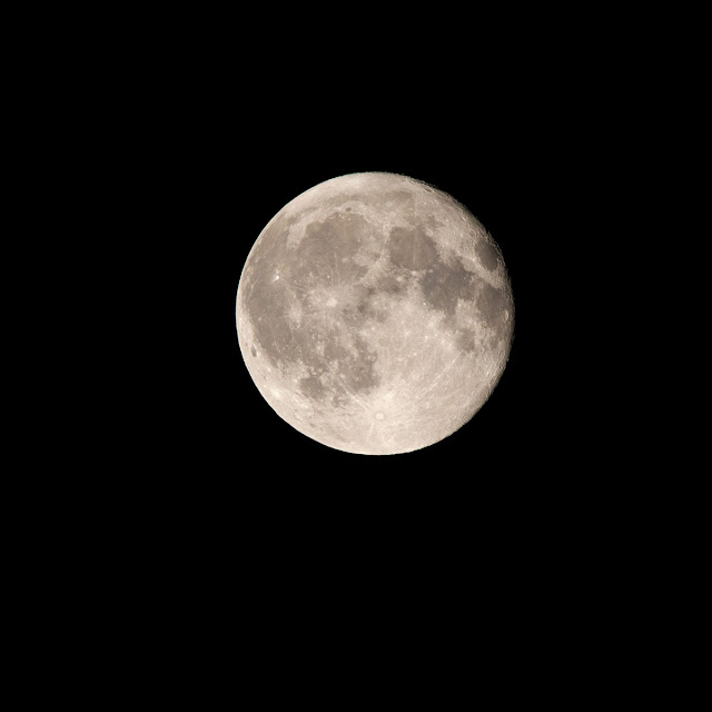 Moon with 600mm DSLR Telephoto, 1/800 second exposure (Source: Palmia Observatory)