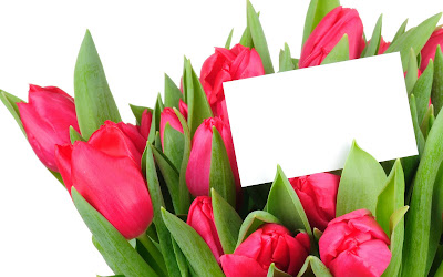 Tulipanes de colores para el Día de las Madres