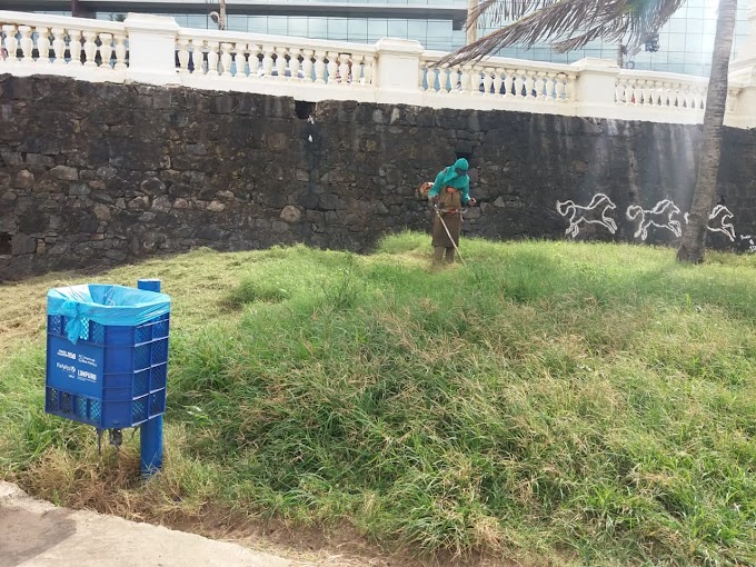 Capinação e limpeza na Praia da Paciência