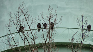 on the main catwalk of the water tower