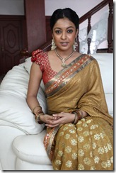Tanu shree Dutta Spicy in saree