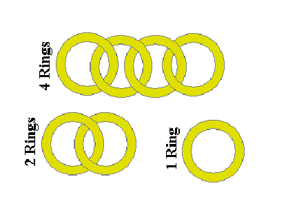 7 Gold rings Logic Puzzle
