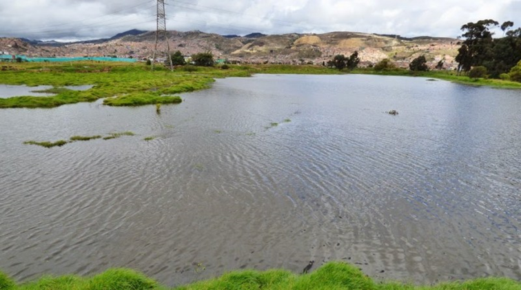 Los humedales pueden estar asociados a las zonas inundables de los ríos, como por ejemplo en el rio Tunjuelo.