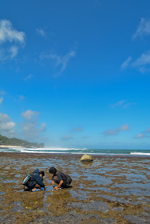 traveling ke pantai sadranan