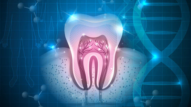 Tooth Regeneration Market