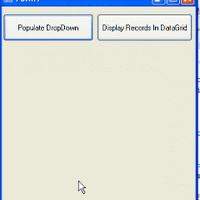 Add Controls Dynamically WinForms WindowsFroms C# VB.NET