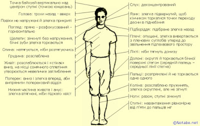 Стійка безкінечності (уцзіші)