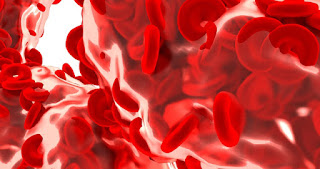 anemia, anemia symptoms, sickle cell anemia, pernicious anemia, iron deficiency anemia, aplastic anemia, anemia definition, hemolytic anemia, symptoms of anemia, anemia treatment, macrocytic anemia, what is anemia, signs of anemia, what causes anemia, microcytic anemia, anemia icd 10, megaloblastic anemia, fanconi anemia, icd 10 code for anemia, types of anemia, autoimmune hemolytic anemia, normocytic anemia, icd 10 anemia, severe anemia symptoms, anemia symptoms in women, diamond blackfan anemia, sideroblastic anemia, sickle cell anemia symptoms, iron deficiency anemia icd 10, anemia in pregnancy, causes of anemia, what is sickle cell anemia, anemia of chronic disease, anemia meaning, sintomas de anemia, pernicious anemia treatment, anemia causes, how to treat anemia, iron deficiency anemia symptoms, iron supplements for anemia, severe anemia, anemia bruises, blood transfusion for anemia, anemia during pregnancy, define anemia, anemia in dogs, what is pernicious anemia, foods for anemia, pernicious anemia symptoms, best iron supplement for anemia, que es anemia, aplastic anemia symptoms, icd 10 code for iron deficiency anemia, iron deficiency anemia treatment, symptoms of dying from anemia, anemia rash, macrocytic anemia causes, microcytic hypochromic anemia, signs of anemia in women, chronic anemia, normocytic anemia icd 10, hypochromic anemia, icd 10 for anemia, iron-rich foods for anemia, icd 10 iron deficiency anemia, anemia test, can anemia be cured, iron-deficiency anemia, iron pills for anemia, how much iron per day for anemia, anemia treatments, anemia nails, iron deficiency anemia nails, anemia symptoms eyes, icd 10 code anemia, what is aplastic anemia, anemia signs, sickle cell anemia treatment, iron deficiency anemia labs, skin anemia symptoms, anemia sintomas, can you die from anemia, que es bueno para la anemia, iron rich foods for anemia, anemia levels, macrocytic anemia icd 10, acute blood loss anemia icd 10, anemia in cats, pernicious anemia tongue, aplastic anemia treatment, anemia eyes, mild anemia, signs and symptoms of anemia, is anemia genetic, cooley's anemia, microangiopathic hemolytic anemia, vitamins for anemia, aplastic anemia definition, anemia pregnancy, symptoms of iron deficiency anemia,