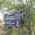 Sabal Palm Santuary-it has reopened (hurray!)