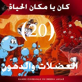 الحلقة - 20 - العضلات والدهون