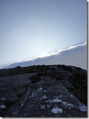 01.Sheep's Head