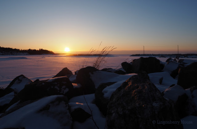 lingonberryhouse, sunset, auringonlasku, talvi, winter