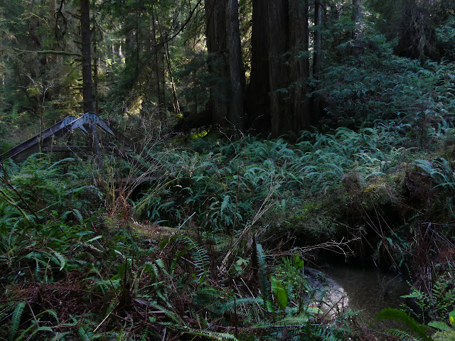 Home Creek and an A frame to cross it