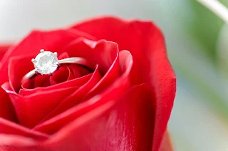 connection between engagement rings and flowers, two iconic symbols of love and beauty