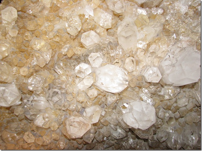 2008.05_nova_iorque_053_museu_historia_natural