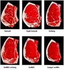 skala marbling daging skala marbling daging