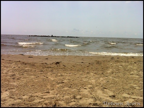 photo 1 (41)