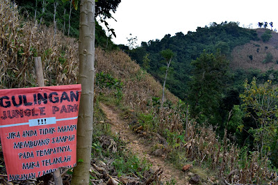 Jelajah Air Terjun Gulingan, Mutiara Nusantara di Tengah Hutan Jati Grobogan