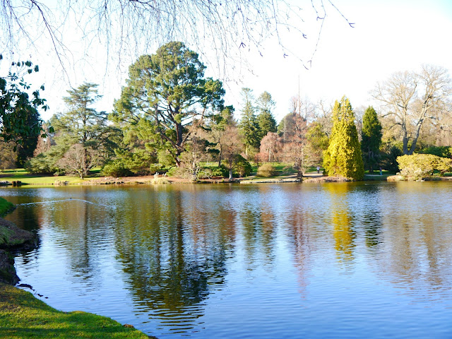 Sheffield Park lake