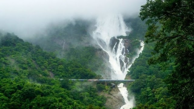 Best activities to do on your Dudhsagar Waterfall Trek
