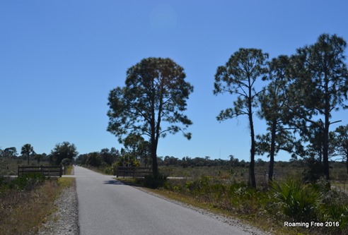 Oscar Scherer State Park
