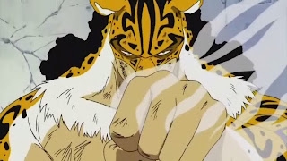 rob lucci anime one piece