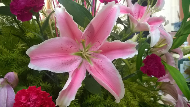 bhubaneshwar, flower, orissa