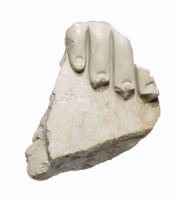 Toe fragment: Amarna Period