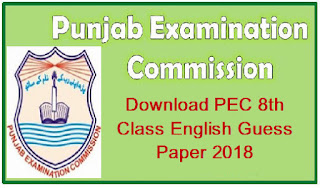 Download PEC 8th Class English Guess Paper 2018