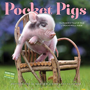 Pocket Pigs 2017 Calendar: The Famous Teacup Pigs of Pennywell Farm