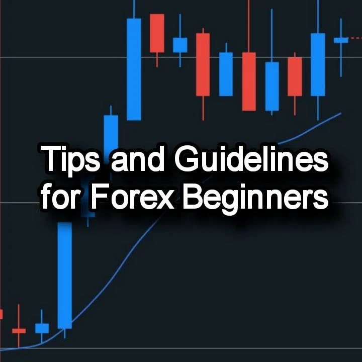 Tips and Guidelines for Forex Beginners