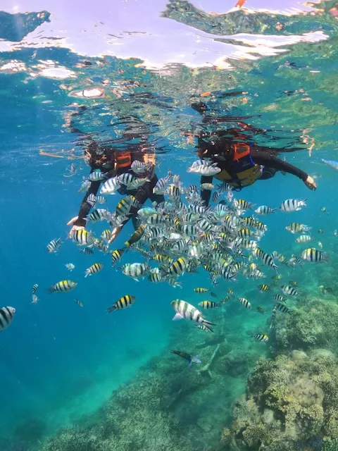 Snorkeling di Gili Trawangan