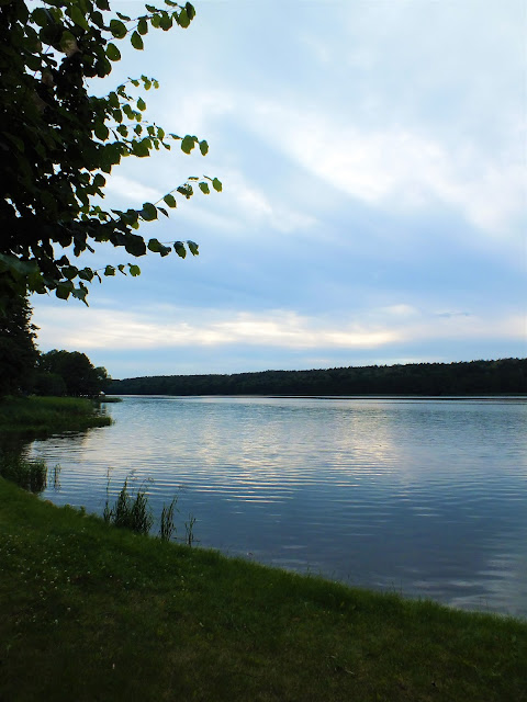 "Cały mój świat potrzebuje psychologa."/ happysad.