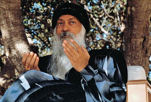 Meditation-is-nectar-meditation-is-life-Osho