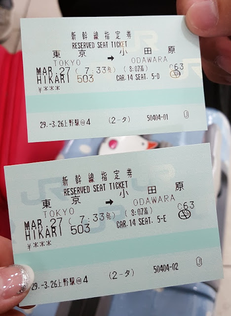 shinkansen reserved seat ticket