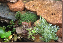 pond3 pond3