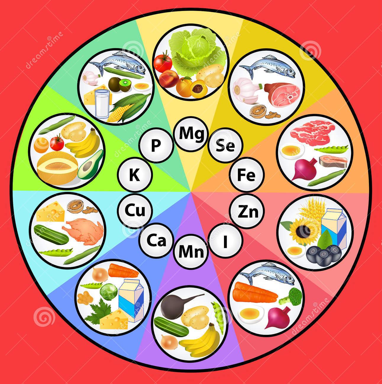 Resultado de imagen de minerales nutricion