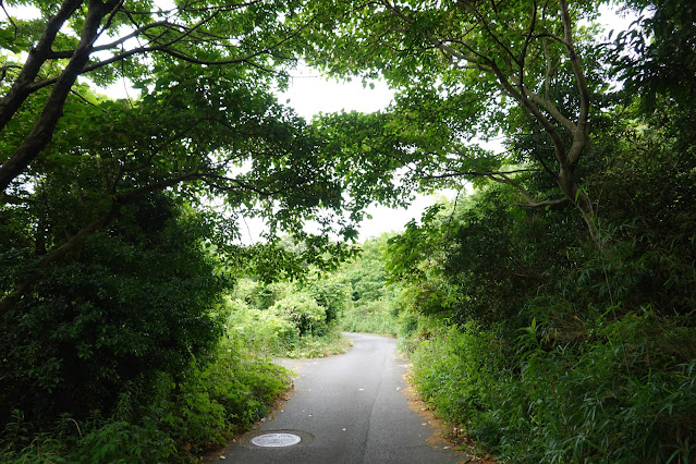 鳥取県米子市淀江町西原 つぼかめ山