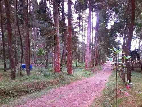 Meski jalan berbatu,, kan ku arungi samudera......    #ngga nyambung, disambungin sendiri