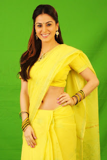 Shraddha Arya Hot In Yellow saree