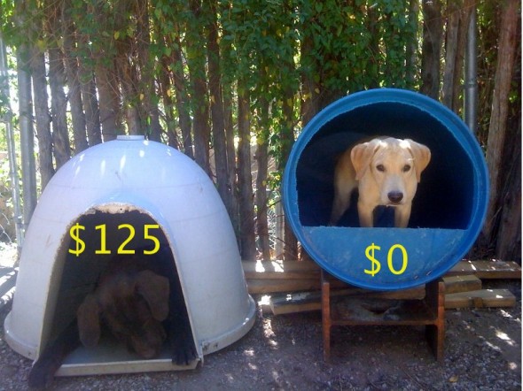 Raising Toot and Roxy: Dog House Idea for Cheap